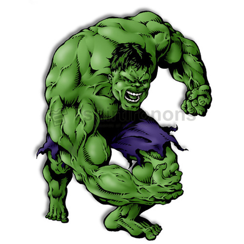 Hulk T-shirts Iron On Transfers N4553